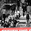 27.4.2013  FC Rot-Weiss Erfurt - SC Preussen Muenster 1-1_10